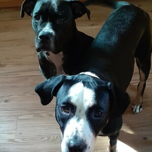 Fundraising Page: Marie Connolly